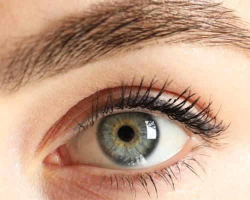 eyes_qmra2